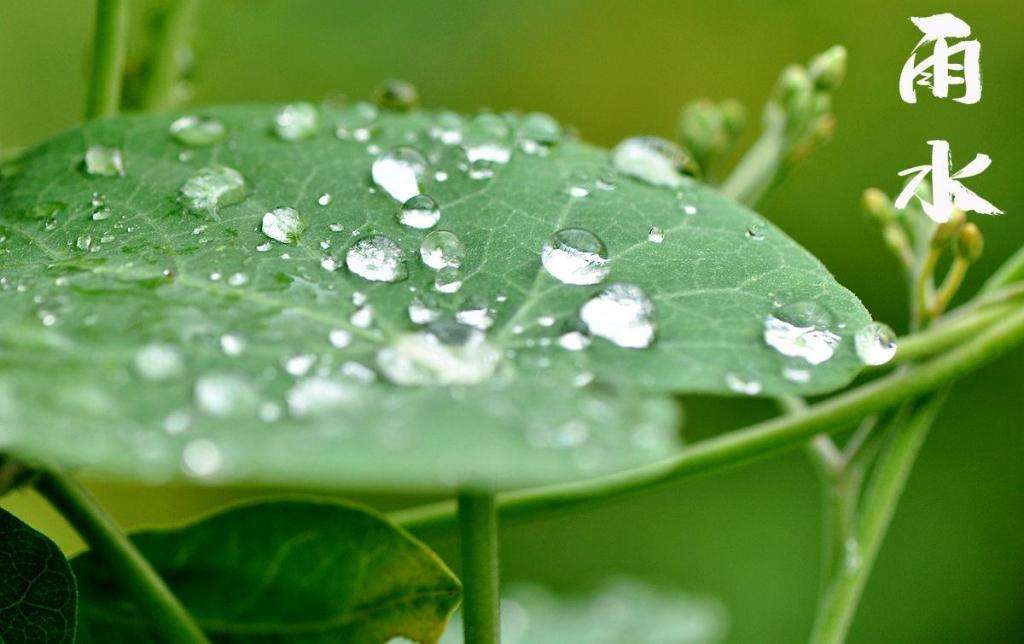 雨水潤(rùn)萬物，兼顧沙與泥！